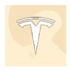 Tesla Rarning App