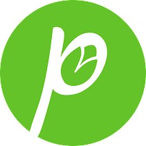 Green Pista App Download