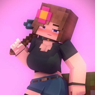 Minecraft Jenny Mod Extension